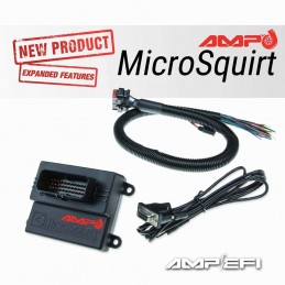 Micro squirt AMP EFI avec...